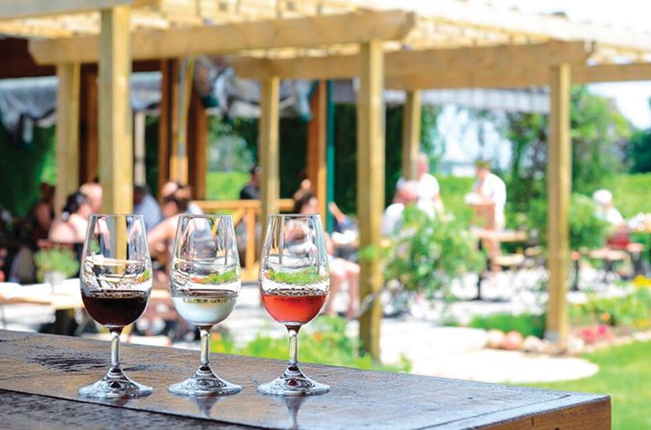 Niagara Falls Wine Tours