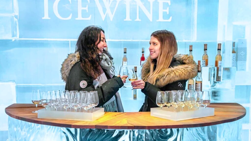 Ice wine tour Niagara falls